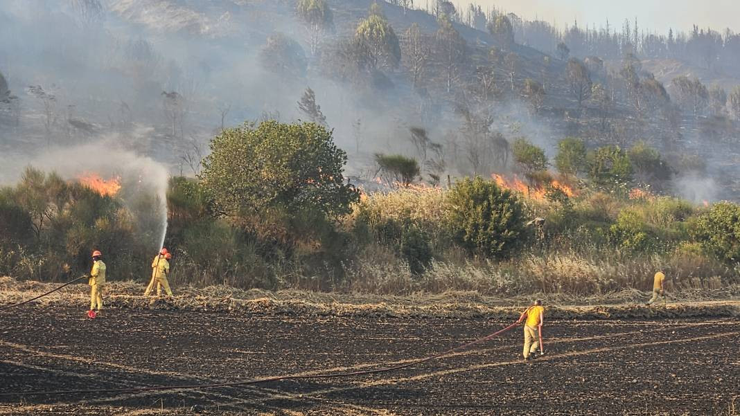 Çanakkale'deki Tarihi Alan'ın güney hattı ziyarete açıldı! Orman yangınında kapatılmıştı - Resim: 41